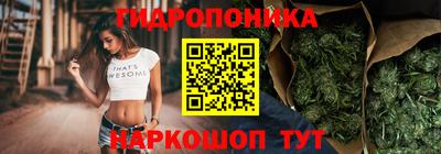 стаф Краснодар