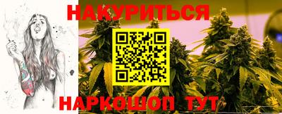 стаф Краснодар