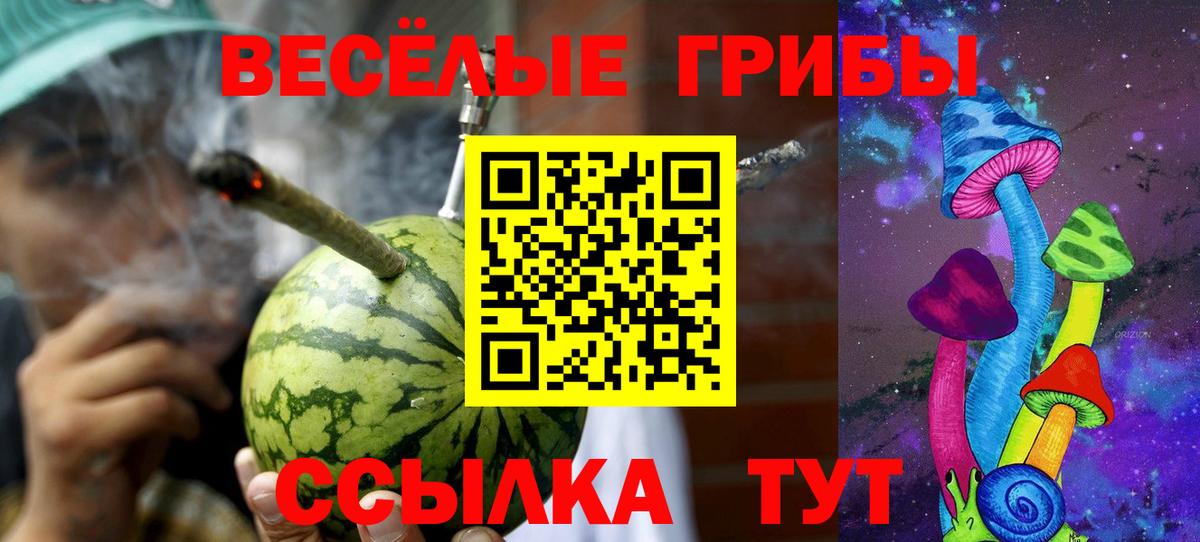 Коломна  Псилоцибиновые грибы Psilocybine cubensis  Вход с VPN 